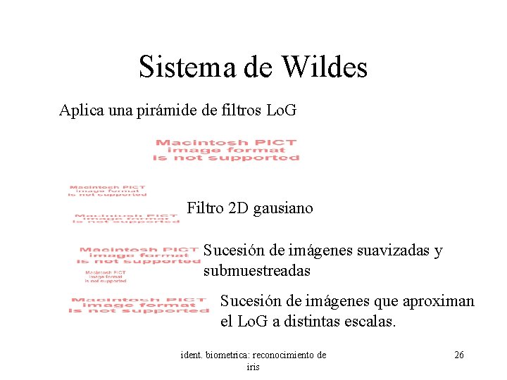 Sistema de Wildes Aplica una pirámide de filtros Lo. G Filtro 2 D gausiano