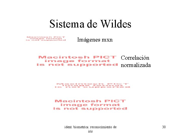 Sistema de Wildes Imágenes mxn Correlación normalizada ident. biometrica: reconocimiento de iris 30 