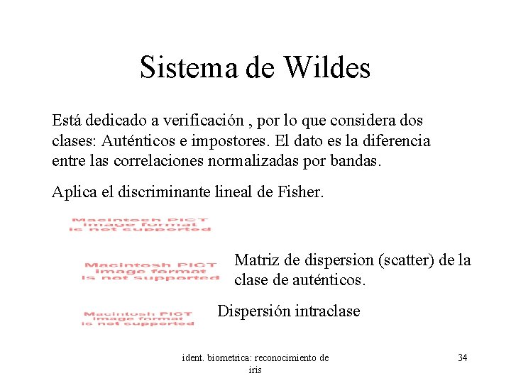 Sistema de Wildes Está dedicado a verificación , por lo que considera dos clases: