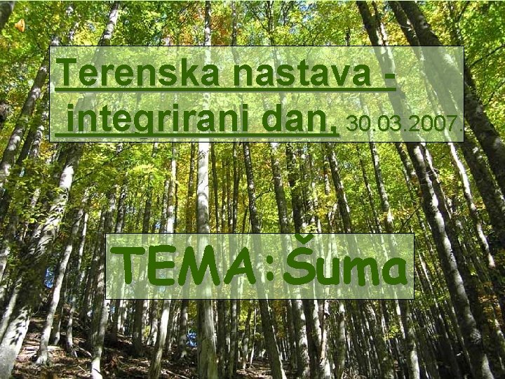 Terenska nastava integrirani dan, 30. 03. 2007. TEMA: Šuma 