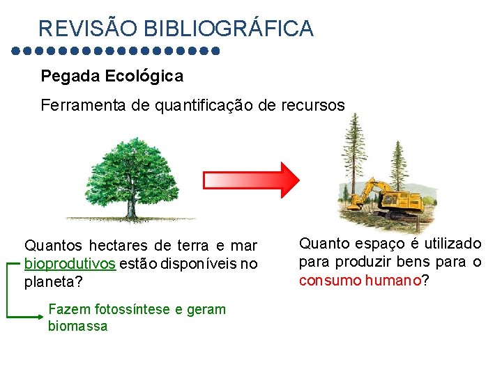 REVISÃO BIBLIOGRÁFICA Pegada Ecológica Ferramenta de quantificação de recursos Quantos hectares de terra e