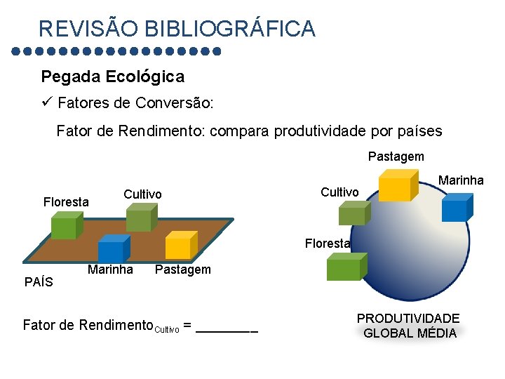 REVISÃO BIBLIOGRÁFICA Pegada Ecológica ü Fatores de Conversão: Fator de Rendimento: compara produtividade por