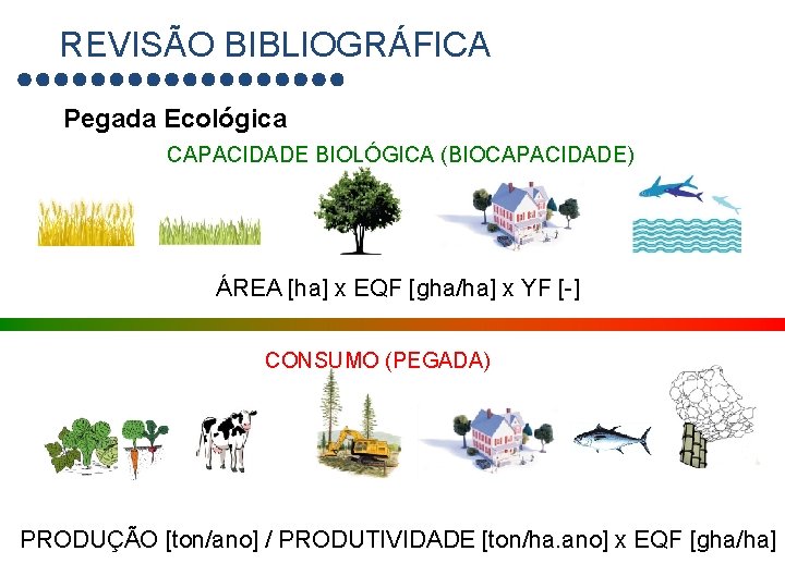 REVISÃO BIBLIOGRÁFICA Pegada Ecológica CAPACIDADE BIOLÓGICA (BIOCAPACIDADE) ÁREA [ha] x EQF [gha/ha] x YF