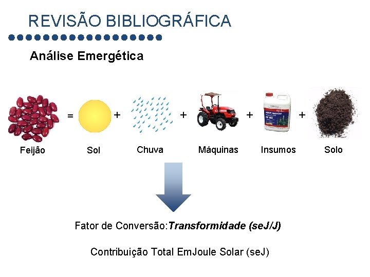 REVISÃO BIBLIOGRÁFICA Análise Emergética + = Feijão Sol + Chuva + Máquinas + Insumos