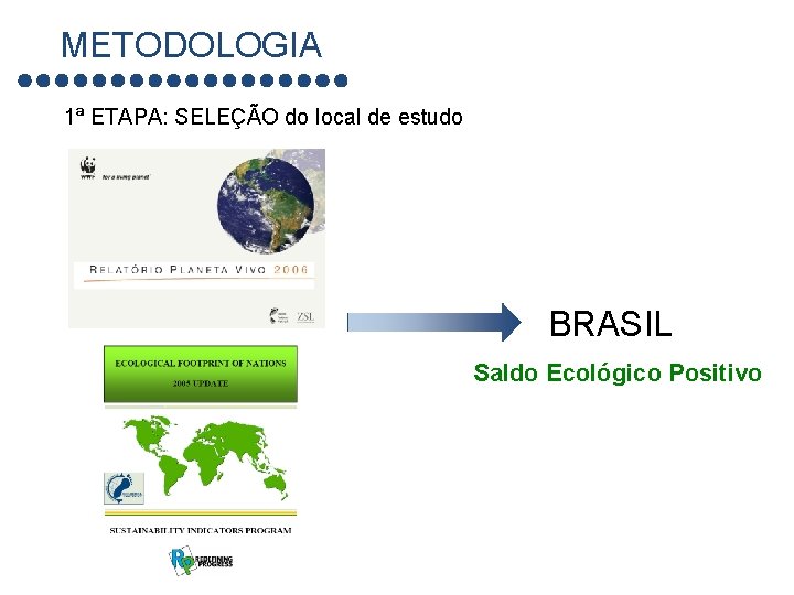 METODOLOGIA 1ª ETAPA: SELEÇÃO do local de estudo BRASIL Saldo Ecológico Positivo 