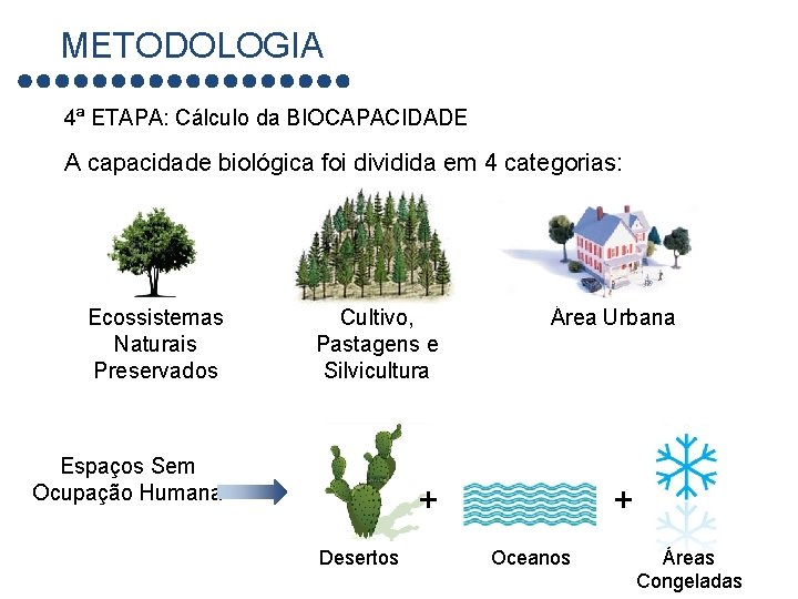 METODOLOGIA 4ª ETAPA: Cálculo da BIOCAPACIDADE A capacidade biológica foi dividida em 4 categorias: