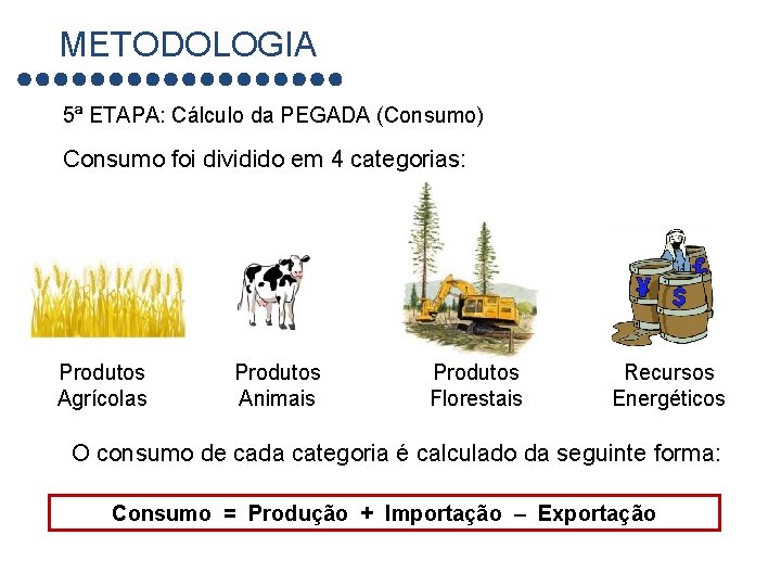 METODOLOGIA 5ª ETAPA: Cálculo da PEGADA (Consumo) Consumo foi dividido em 4 categorias: Produtos