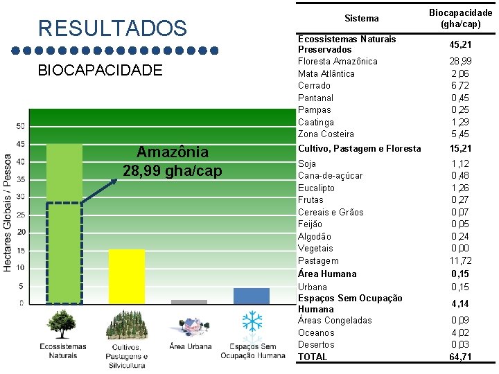 RESULTADOS BIOCAPACIDADE Amazônia 28, 99 gha/cap Sistema Ecossistemas Naturais Preservados Floresta Amazônica Mata Atlântica