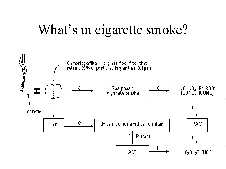 What’s in cigarette smoke? 