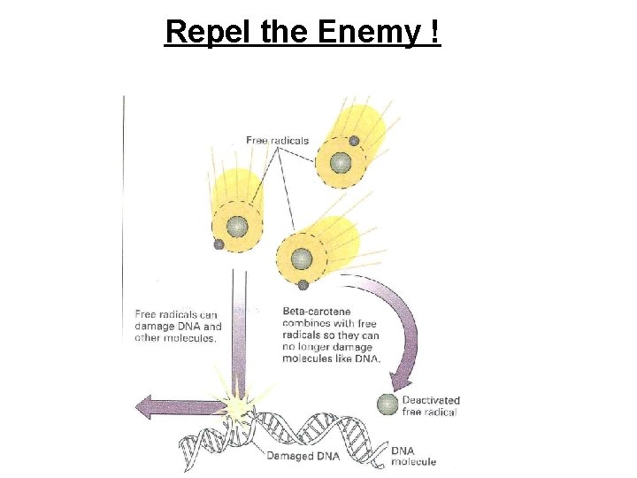 Repel the Enemy ! 