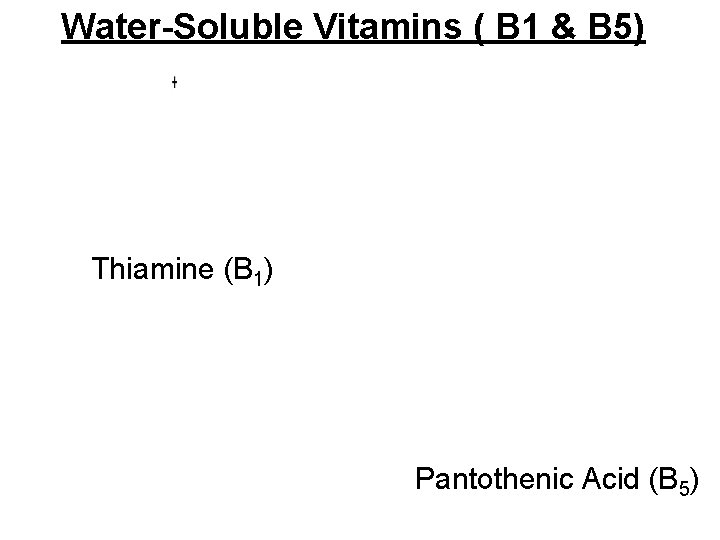 Water-Soluble Vitamins ( B 1 & B 5) Thiamine (B 1) Pantothenic Acid (B