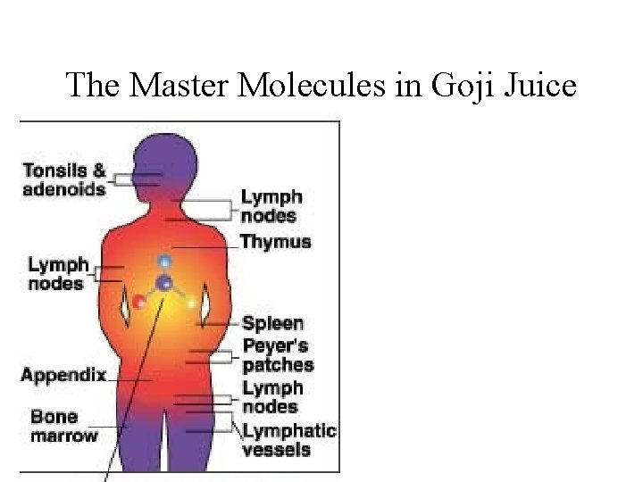 The Master Molecules in Goji Juice 