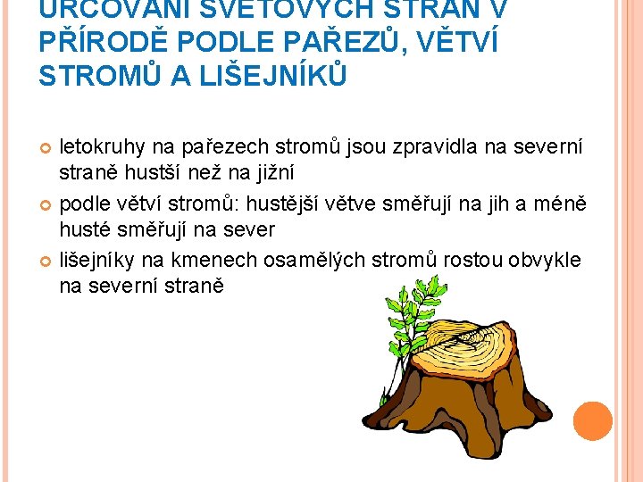 URČOVÁNÍ SVĚTOVÝCH STRAN V PŘÍRODĚ PODLE PAŘEZŮ, VĚTVÍ STROMŮ A LIŠEJNÍKŮ letokruhy na pařezech