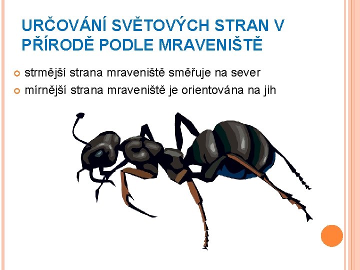 URČOVÁNÍ SVĚTOVÝCH STRAN V PŘÍRODĚ PODLE MRAVENIŠTĚ strmější strana mraveniště směřuje na sever mírnější