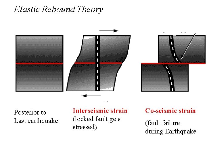 Elastic Rebound Theory Posterior to Last earthquake Interseismic strain (locked fault gets stressed) Co-seismic