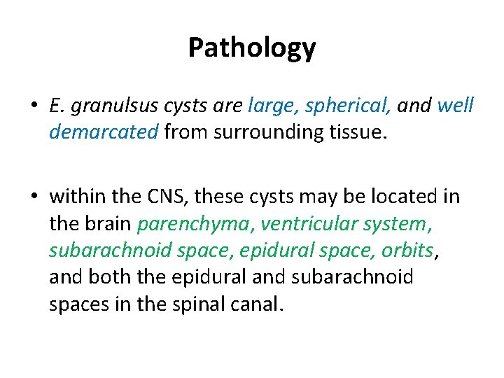 Pathology • E. granulsus cysts are large, spherical, and well demarcated from surrounding tissue.