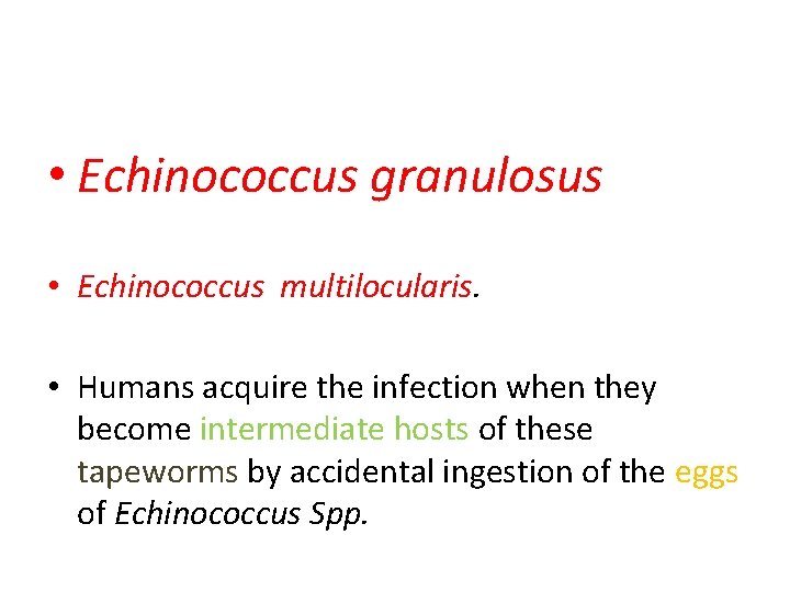  • Echinococcus granulosus • Echinococcus multilocularis. • Humans acquire the infection when they