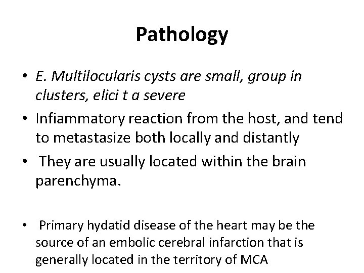 Pathology • E. Multilocularis cysts are small, group in clusters, elici t a severe