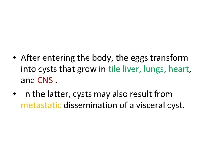  • After entering the body, the eggs transform into cysts that grow in