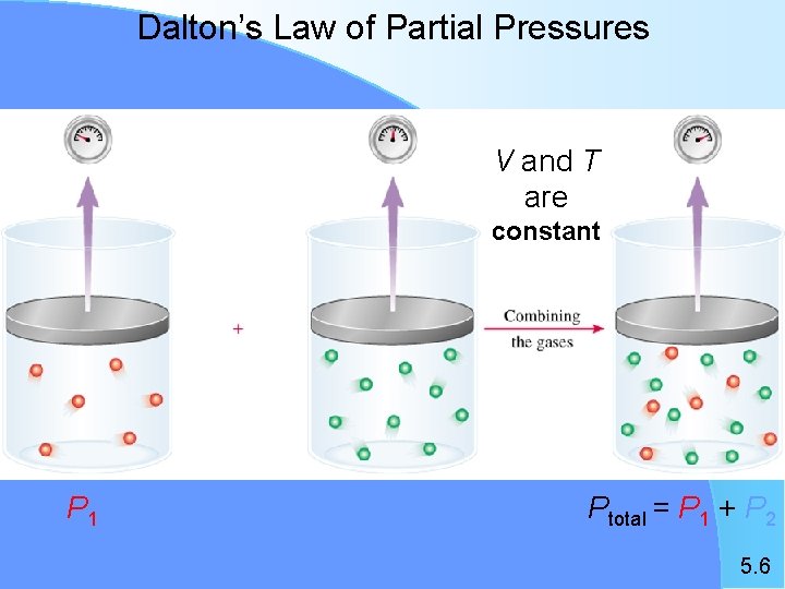 Dalton’s Law of Partial Pressures V and T are constant P 1 P 2