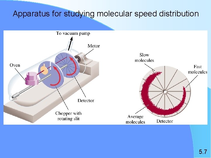 Apparatus for studying molecular speed distribution 5. 7 