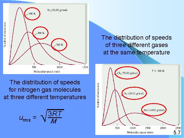 The distribution of speeds of three different gases at the same temperature The distribution