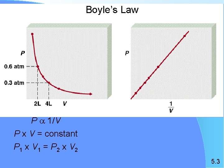 Boyle’s Law P a 1/V P x V = constant P 1 x V