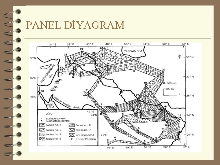 PANEL DİYAGRAM 