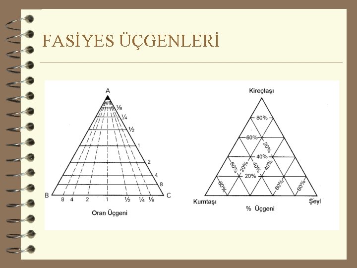 FASİYES ÜÇGENLERİ 