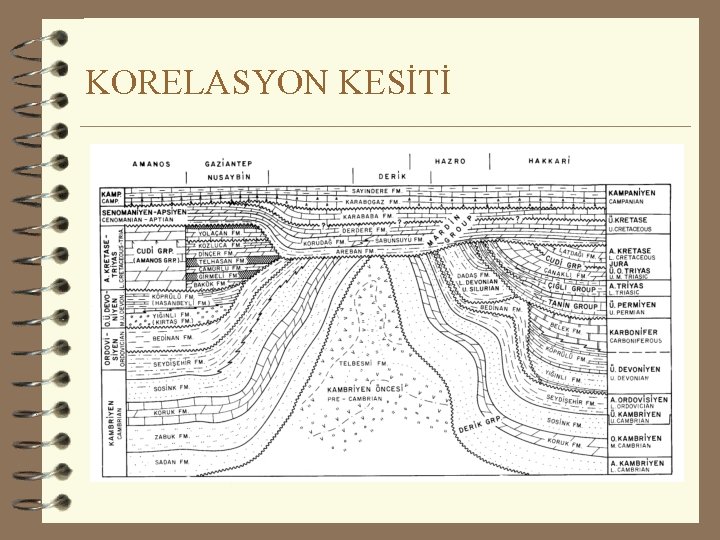 KORELASYON KESİTİ 