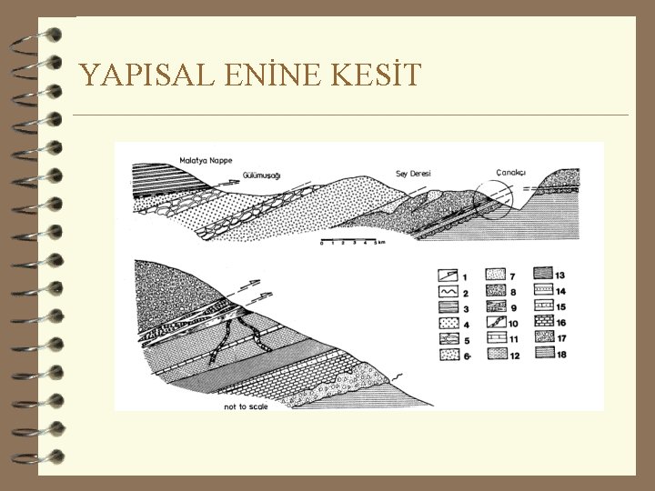 YAPISAL ENİNE KESİT 
