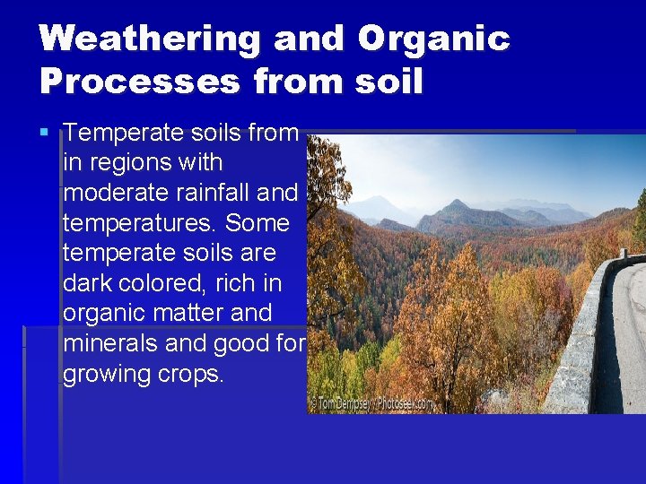 Weathering and Organic Processes from soil § Temperate soils from in regions with moderate