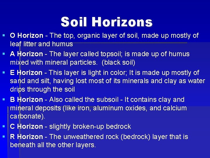 Soil Horizons § O Horizon - The top, organic layer of soil, made up