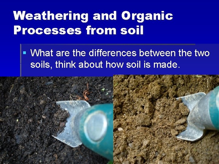 Weathering and Organic Processes from soil § What are the differences between the two