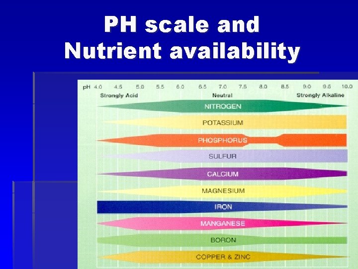 PH scale and Nutrient availability 