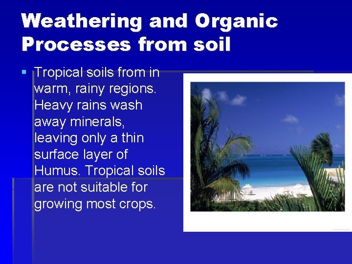 Weathering and Organic Processes from soil § Tropical soils from in warm, rainy regions.