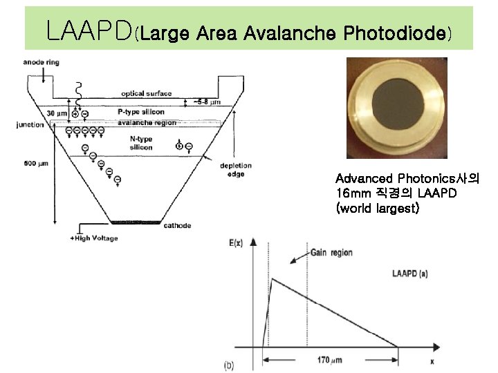 LAAPD(Large Area Avalanche Photodiode) Advanced Photonics사의 16 mm 직경의 LAAPD (world largest) 