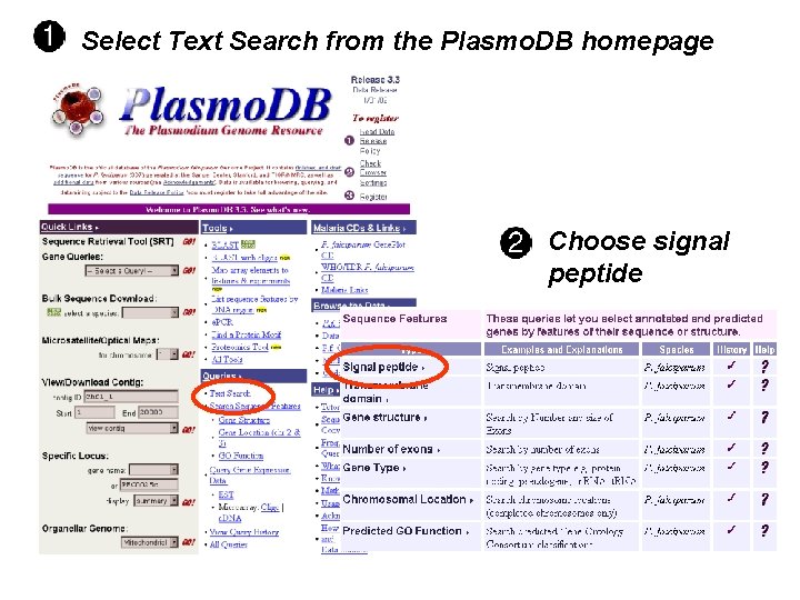 Select Text Search from the Plasmo. DB homepage Choose signal peptide Select Text Search from the Plasmo. DB homepage Choose signal peptide