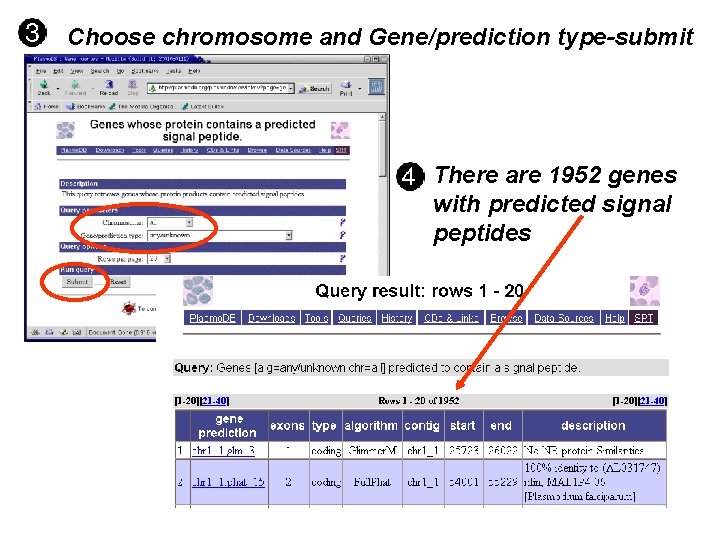 Choose chromosome and Gene/prediction type-submit There are 1952 genes with predicted signal peptides Choose chromosome and Gene/prediction type-submit There are 1952 genes with predicted signal peptides