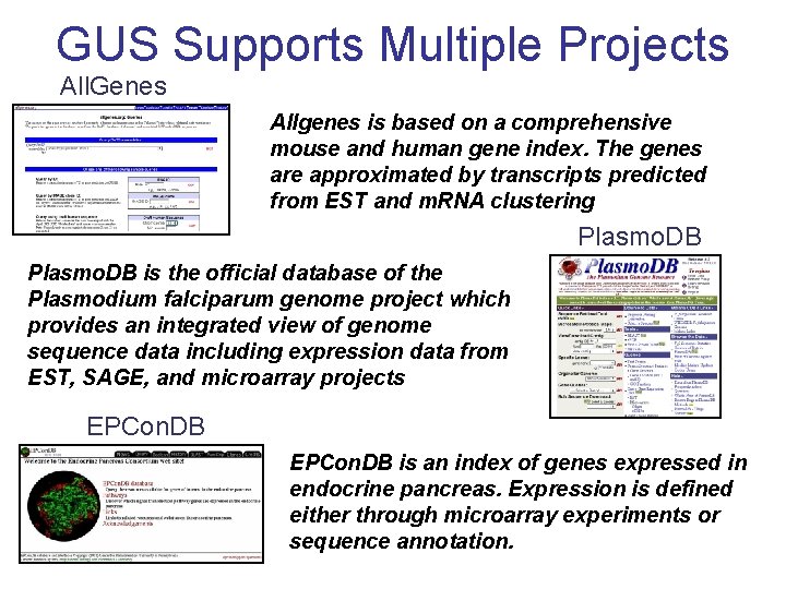GUS Supports Multiple Projects All. Genes Allgenes is based on a comprehensive mouse and GUS Supports Multiple Projects All. Genes Allgenes is based on a comprehensive mouse and