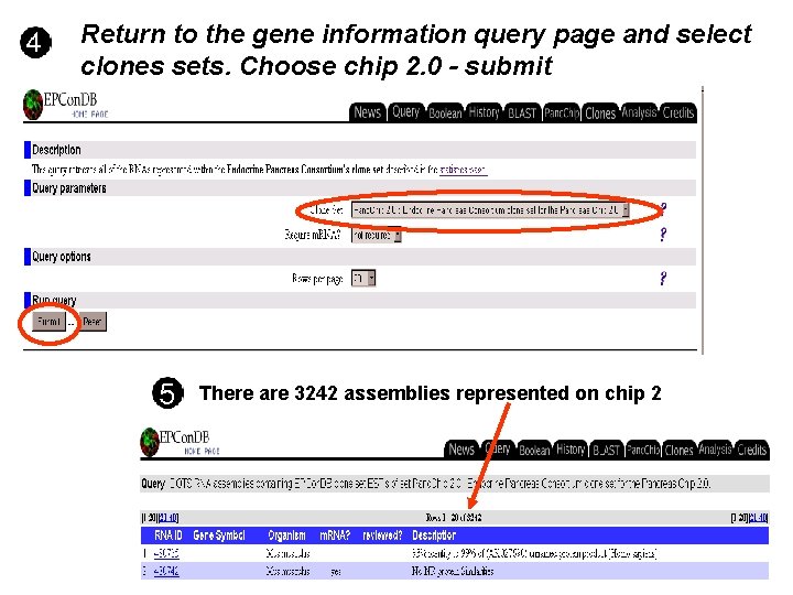 Return to the gene information query page and select clones sets. Choose chip 2. Return to the gene information query page and select clones sets. Choose chip 2.