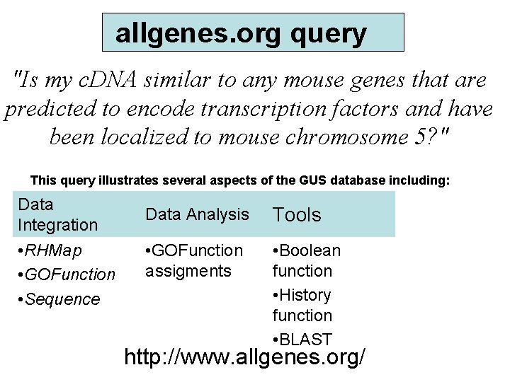 allgenes. org query "Is my c. DNA similar to any mouse genes that are allgenes. org query "Is my c. DNA similar to any mouse genes that are