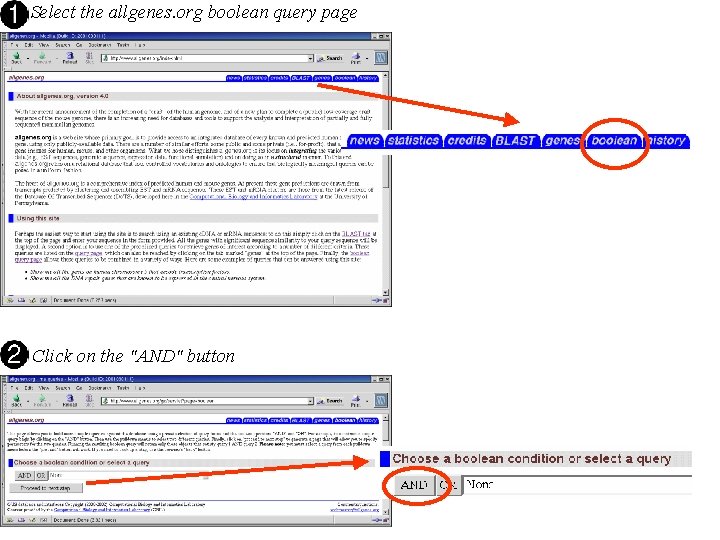 Select the allgenes. org boolean query page Click on the "AND" button Select the allgenes. org boolean query page Click on the "AND" button