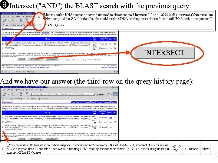Intersect ("AND") the BLAST search with the previous query: And we have our answer Intersect ("AND") the BLAST search with the previous query: And we have our answer