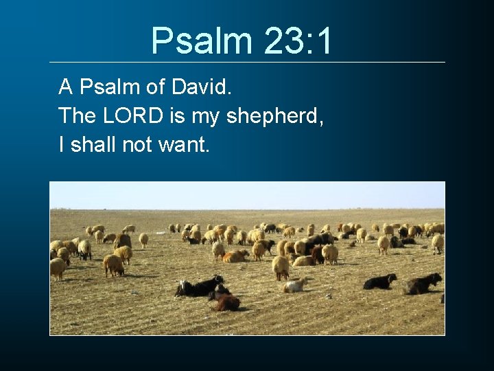 Psalm 23: 1 A Psalm of David. The LORD is my shepherd, I shall