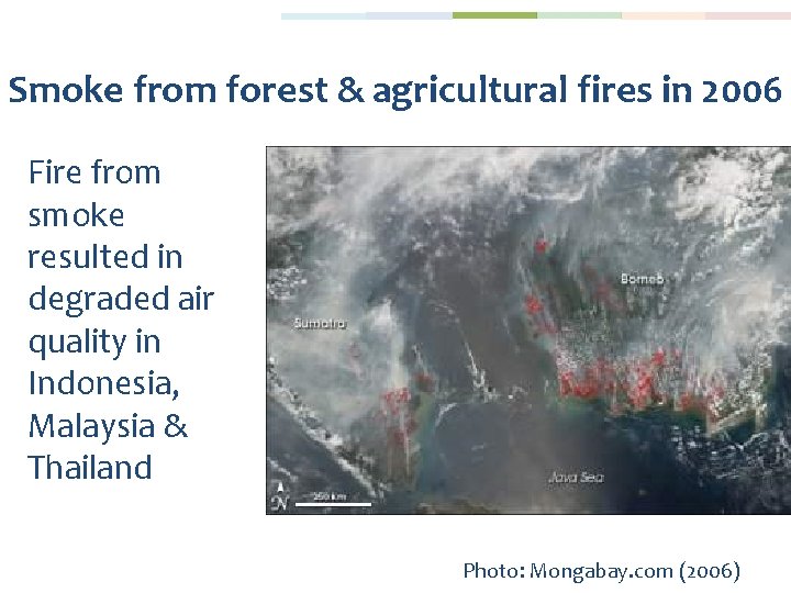 Smoke from forest & agricultural fires in 2006 Fire from smoke resulted in degraded