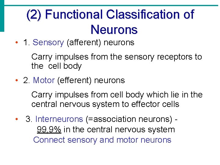 (2) Functional Classification of Neurons • 1. Sensory (afferent) neurons Carry impulses from the (2) Functional Classification of Neurons • 1. Sensory (afferent) neurons Carry impulses from the