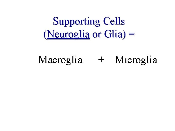 Supporting Cells (Neuroglia or Glia) = Macroglia + Microglia Supporting Cells (Neuroglia or Glia) = Macroglia + Microglia
