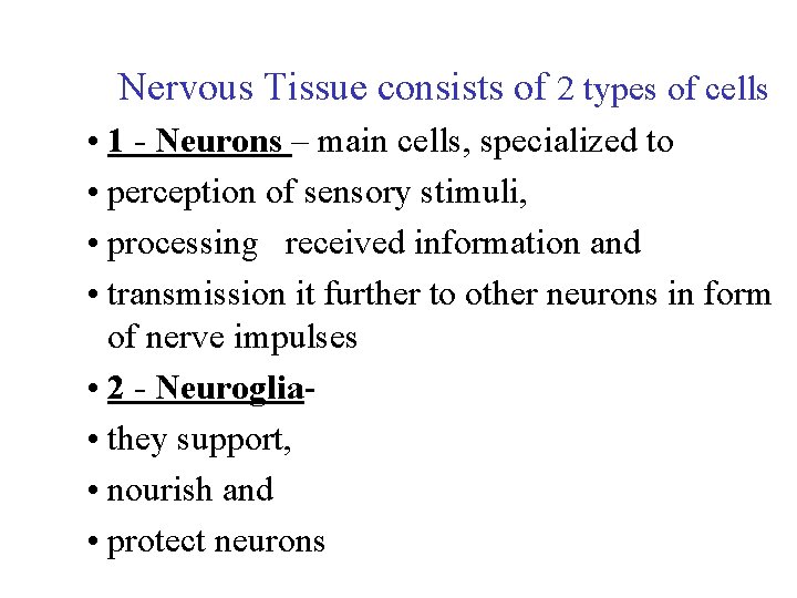 Nervous Tissue consists of 2 types of cells • 1 - Neurons – main Nervous Tissue consists of 2 types of cells • 1 - Neurons – main