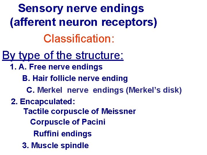 Sensory nerve endings (afferent neuron receptors) Classification: By type of the structure: 1. A. Sensory nerve endings (afferent neuron receptors) Classification: By type of the structure: 1. A.